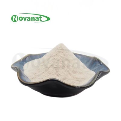 Pediococcus pentosaceus PP09 300 Billion CFU/g Vegan/ Allergen Free/Gluten Free/Dairy Free