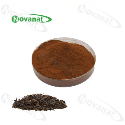 Water Soluble Instant Black Tea Extract Powder 15%-35% Polyphenols / Clean Label