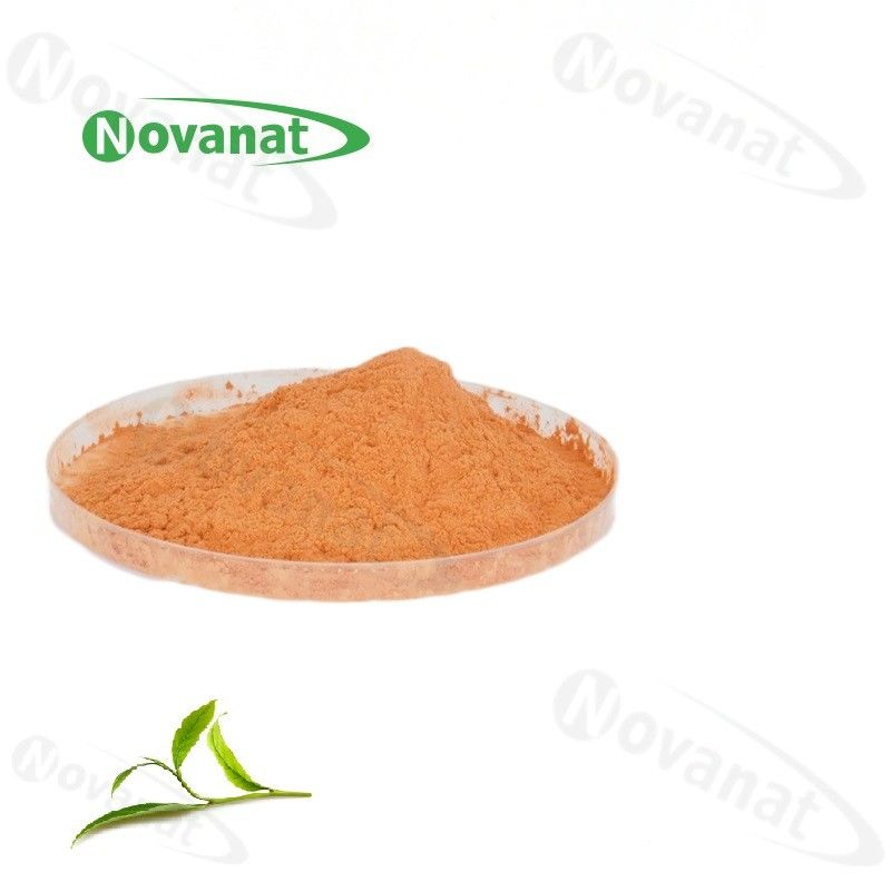 Organic Green Tea Extract Powder 60% Polyphenols / 40% EGCG /Decaffeinated / Clean Label